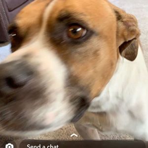 Meet your Posher, Mariah